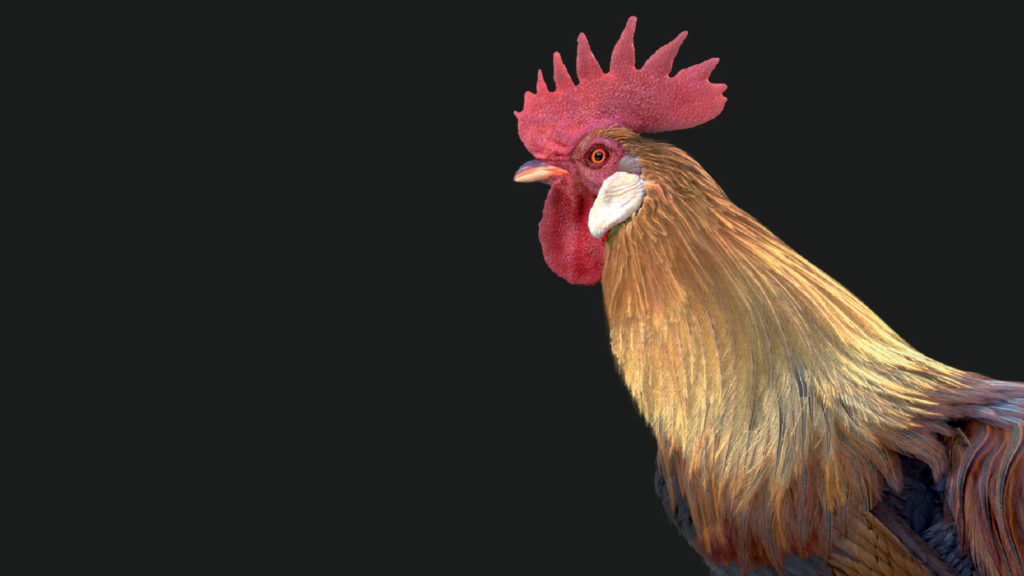 MAITRE COQ